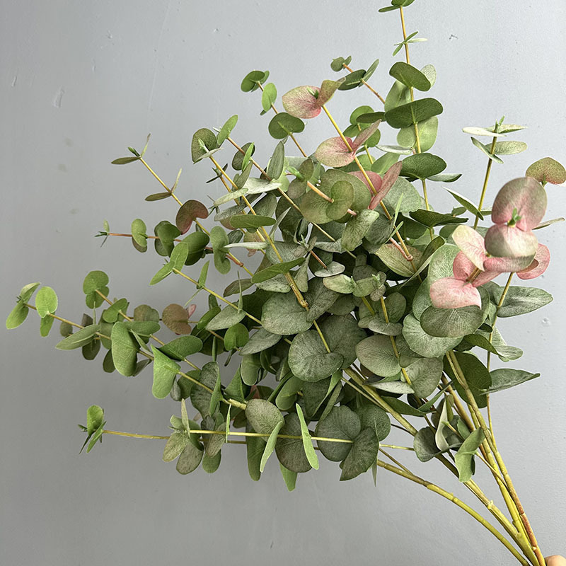 Artificial Flowers Wholesale Long Eucalyptus Leaves Fake Flowers Printed Money Leaves Home Decoration Eucalyptus Cross-Border Artificial Flowers Wholesale Long Eucalyptus Leaves Fake Flowers Printed Money Leaves Home Decoration Eucalyptus Cross-Border