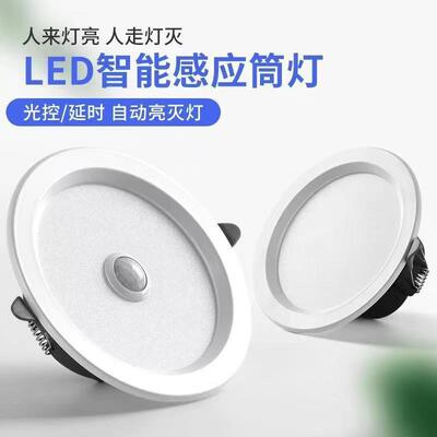 LED human body Induction Down lamp microwave radar 2.54 Aisle stairs Corridor balcony intelligence Induction