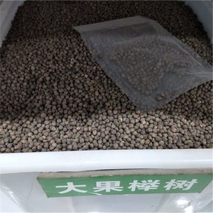 �Θ�N�� С���� ���� �י� Ѫ�� ����ηN�Ӽt�Θ�N��