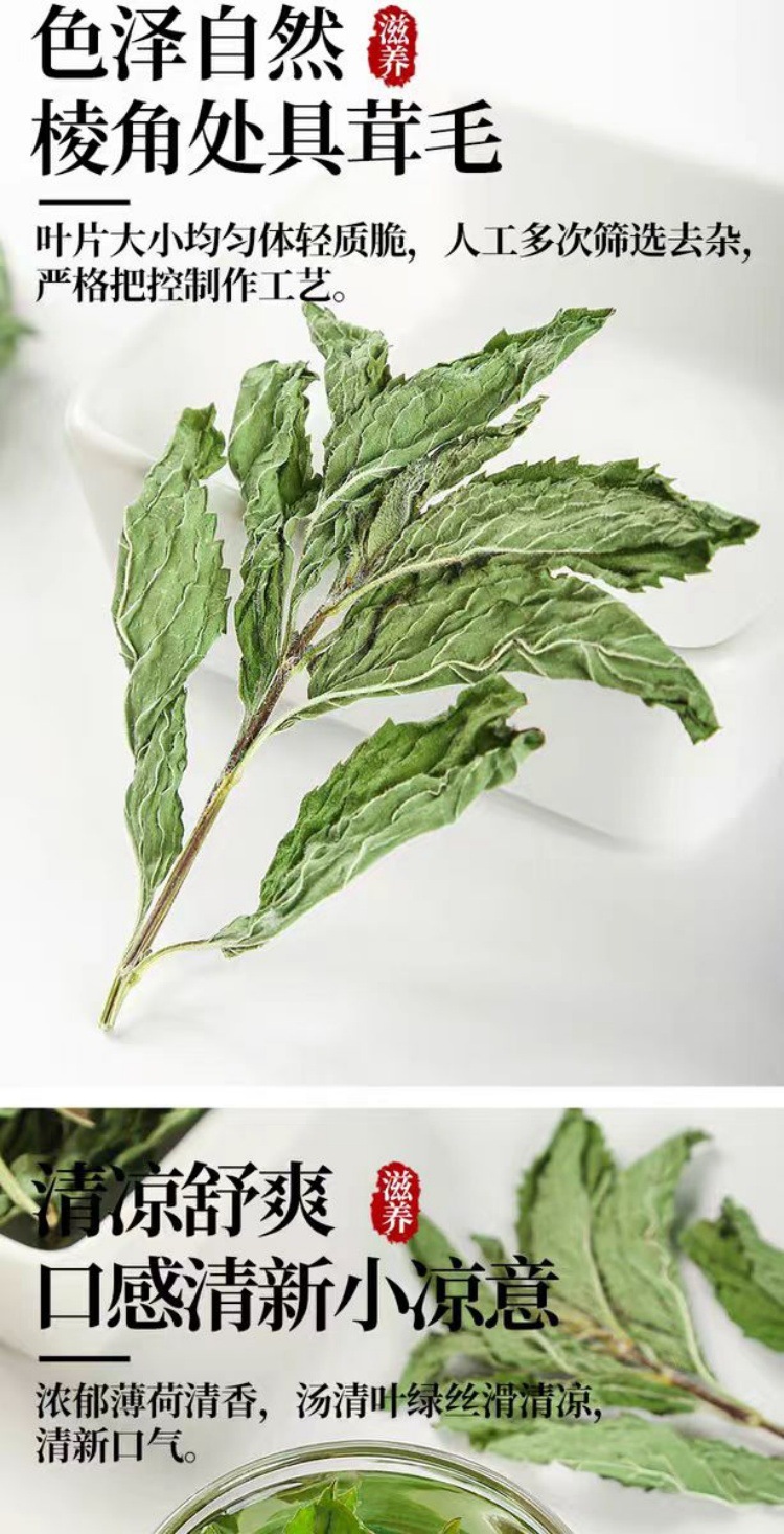 Bo He Ye (Mentha haplocalyx) — Dried Whole-Plant Mint Herb, 500g specifications