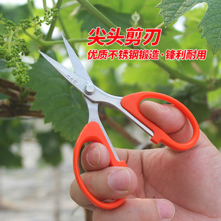 ����㌲��P�������֦ˮ��С�������^�ֹ����ü�����SS125����