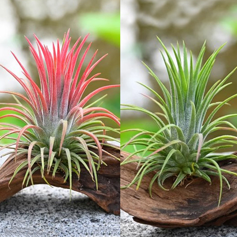 7a4a39c4-4a59-469a-b8e5-e180f0f1060f.jpe