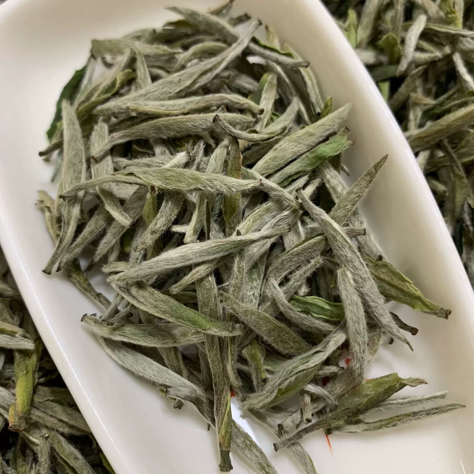 2023福鼎白毫银针新茶高山白茶散茶500克装茶叶批发厂家