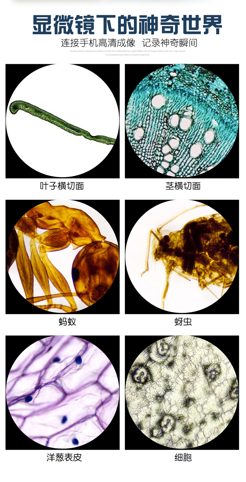 MY-XWJ0004显微镜详情2_01.jpg
