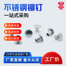 304不锈钢铆钉电子设备外壳组装半空心铆钉GB873扁圆头铆钉定做