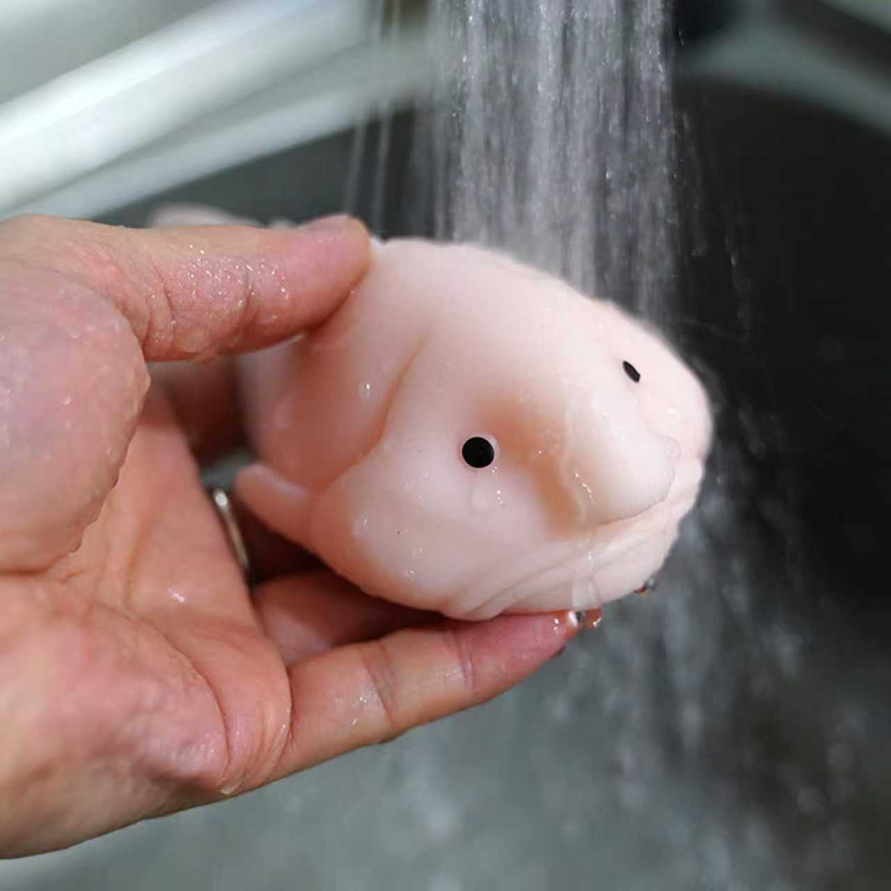 c283c5e39c351b63a1135ed1df3d5f