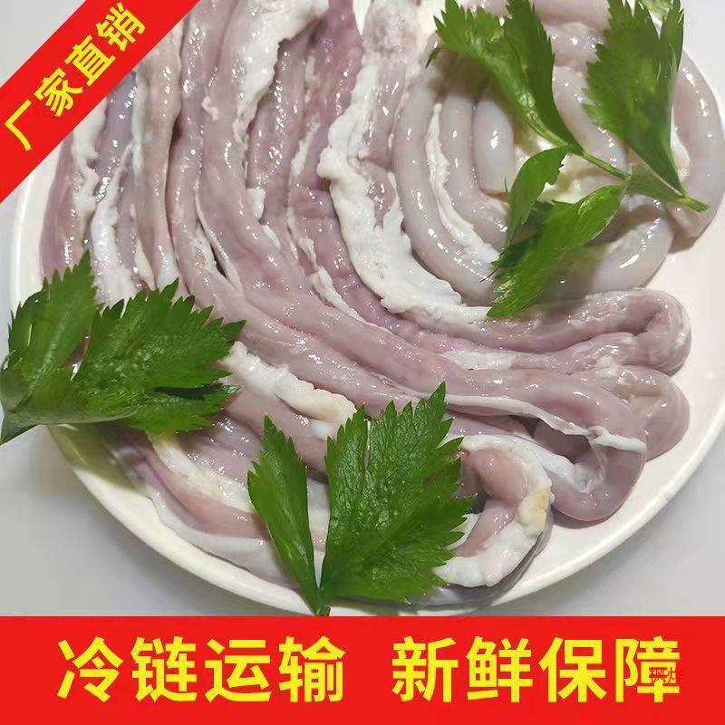新鲜猪小肠冒节子肥肠冷冻粉肠圈圈肠生苦肠十二指肠火锅烧烤食材