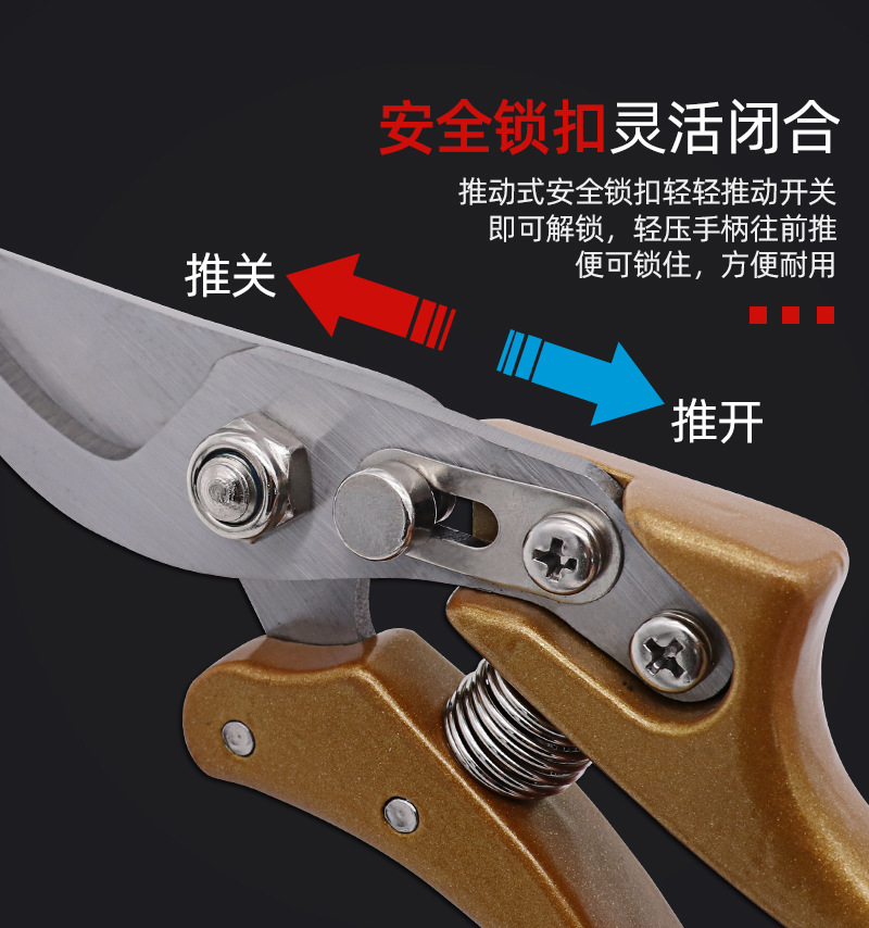 O1CN01osGzLY1zhiVTyyAl3_!!2206