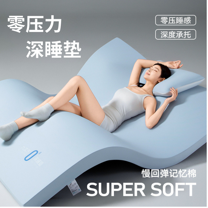 Blue Memory Foam Mattress Box Soft Cushion Bedroom Sponge Mattress Dormitory Student Single Removable and Washable Mattress