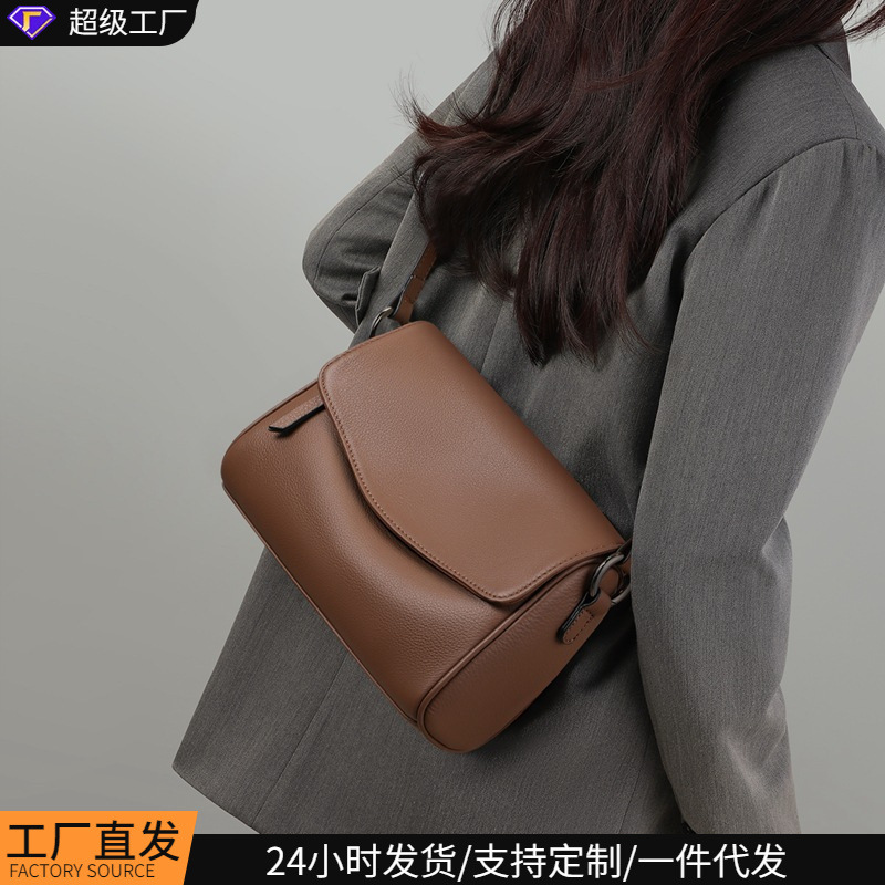 2026 New Model Genuine Leather Crossbody Women's Bag, Autumn and Winter High-End Style, Large Capacity Shoulder Bag, Commuter Pillow Bag, Handbag