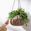 Suspension Basin Flower Basin Suspension Plastic Personalized Modeling Vine strip Basin Flower Basin Green Rill Thickening Pot