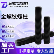 加工高强度双头全牙全螺纹螺柱HG20634细牙螺杆 全螺纹35C rMOA螺