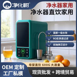 600G大流量净水器家用一体机厨房自来水过滤RO反渗透纯水机净水机