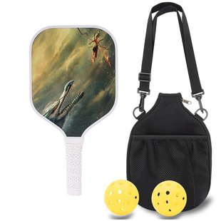 Pickleball Racket Fiberglass Beginner Training Competition Supplies Cross-Border Best-Selling Hole Ball Gift Set Racket
