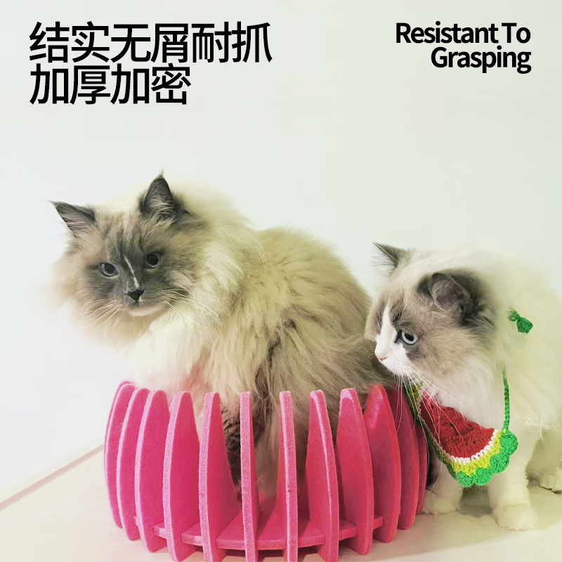 사계절 애완동물 둥지, 탈부착 및 세척 가능, 긁힘 방지 및 내마모성, 놀이용 고양이 집, 놀고 자는 고양이 용품, 애완동물 용품