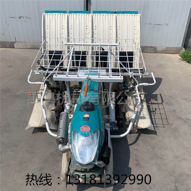 6行电启动插秧机械厂家 新款播种机手扶步进式农用水稻插秧机