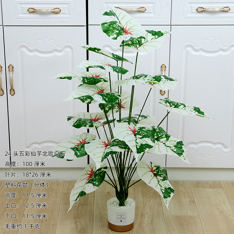 100厘米24头五彩仙芋北欧白石