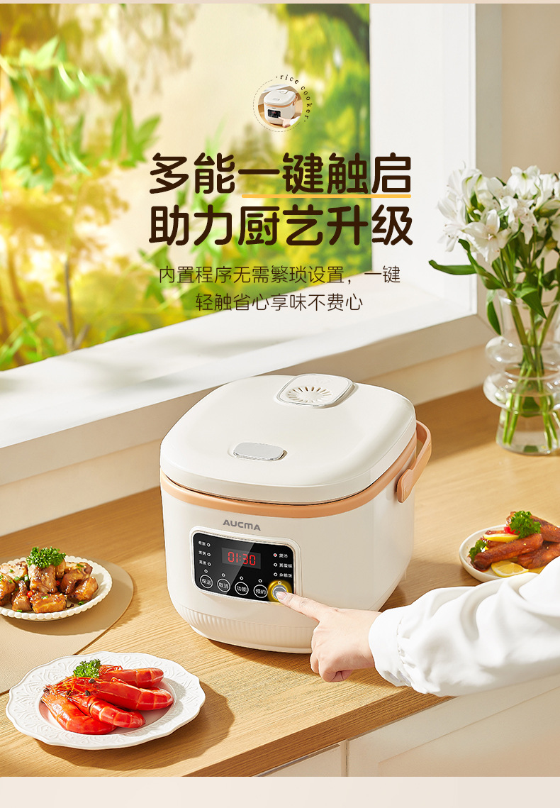 电饭煲_05.jpg