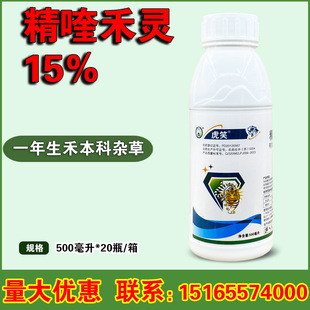 ��Ц 15%��୺��` �� �����غ̱����s�ݚ������݄� 500����