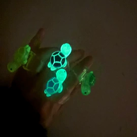 戒指;吊坠;项链
