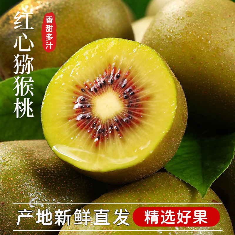 四川蒲江红心猕猴桃孕妇水果现摘现发皮薄肉厚整箱包邮批发自然熟