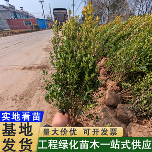 С�~�S��ë��ͥԺ�쾰�G�h���͘�С�~�����S��ë��@�־G����ľ