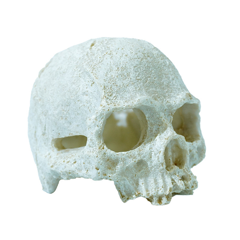 Pecera, acuario, calavera, decoración de paisajismo, casa de cría, evitar trepar, caja de mascotas, pirata, estilo caliente con capucha