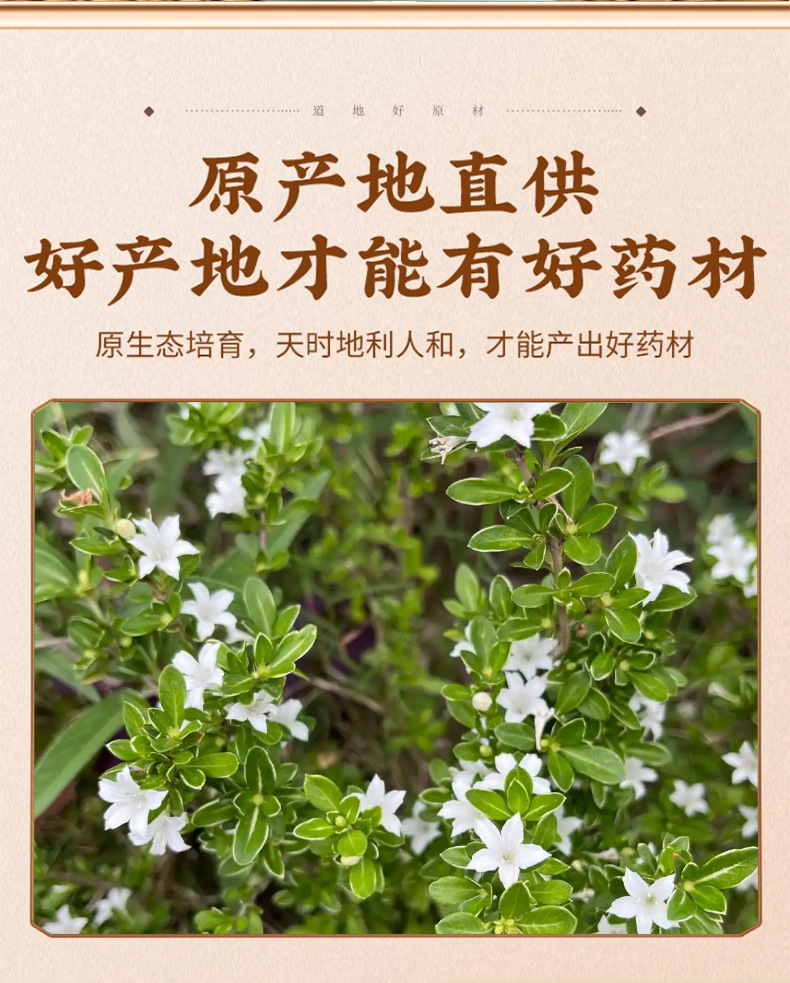 Dried Serissa Herb Liu Yue Xue 50g Natural Sun Dried Chinese Herbal Tea key features