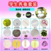 Student sericulture set (advanced version)