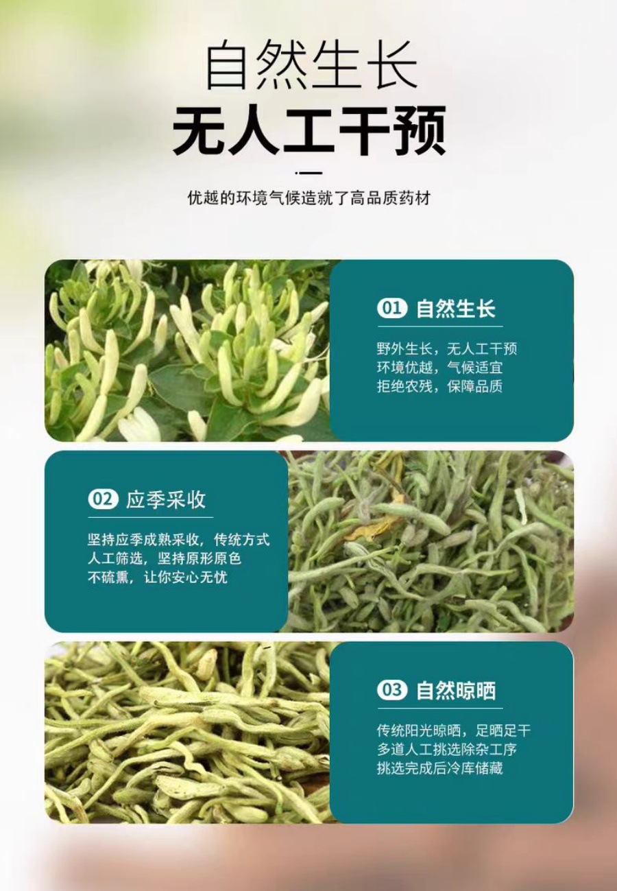 Jin Yin Hua (Lonicera japonica) Dried Honeysuckle Flower — 500g Food Herb for Tea key features