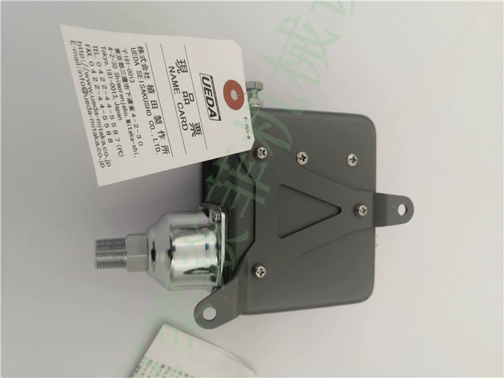 UEDAPM-606-R3SB indoor switch