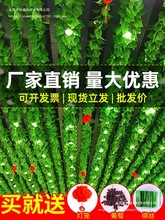 �����~�ٗl�����Gֲ����~�G�}����b����~�Ӽٻ�����ʢ��