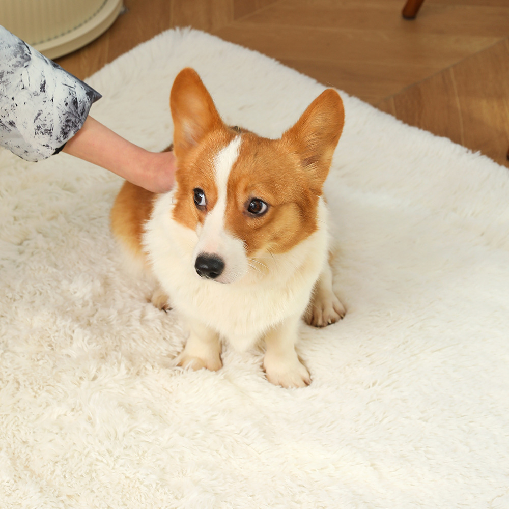 Almohadilla de jaula para perros de doble capa gruesa y lavable a máquina Almohadilla para perrera a prueba de humedad