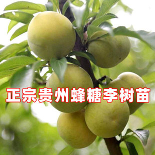 ���Ә����F��悌����������X�����A������������޽��箔��Y����