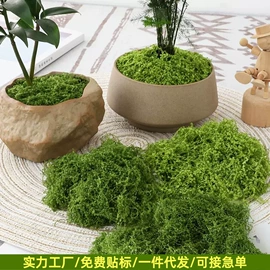 仿真花;仿真绿植;仿真藤条