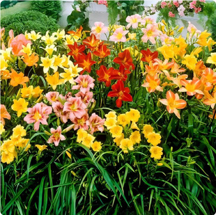 �������l���� ���������С�� �ر��G���� �̓r���N