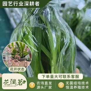 �л�����0815��ˮ�����mƿ��M�����״���҃������Ի�������r��