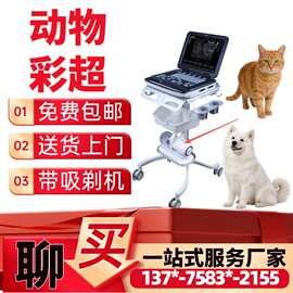 便携式兽用彩超仪_宠物心脏彩超机_猪马牛羊B超机厂家