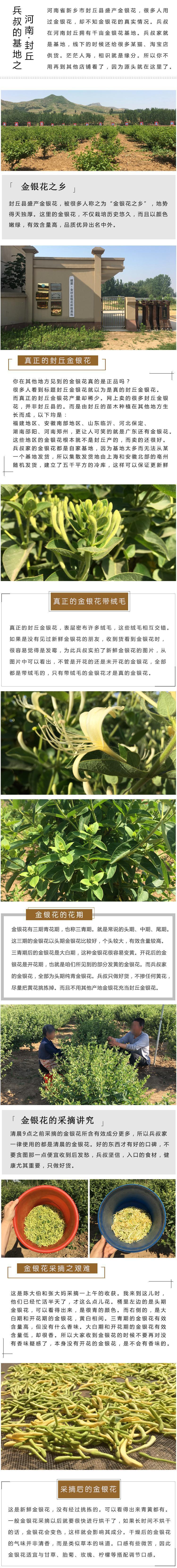 Jin Yin Hua (Lonicera japonica) Dried Honeysuckle Flower Tea — Fengqiu First-Harvest 500g Loose Buds overview