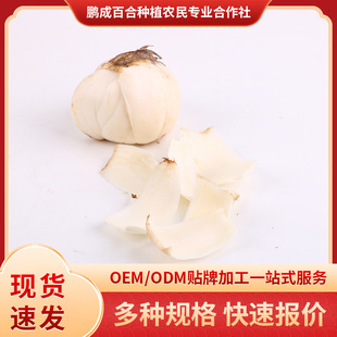 �m���r�ٺ�500g �m�����r�ٺ�ʳ����ٺ� 1��s6����ʳ������ٺ�