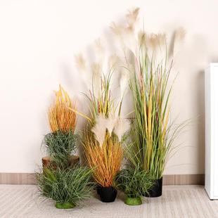 �W�t¶�I�L����ֲ���JȔ�����Թ�β�Ͳݙ����쾰�T���bGֲ���^