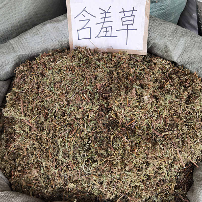 含羞草