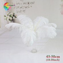 现货批发45-50CM南非鸵鸟毛现代化羽毛灯婚庆舞台装饰优质鸵鸟毛