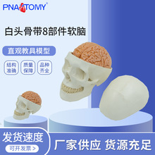 PNT-1150B ���^�ǎ�8����ܛ�X ���w�^�B�ǿɲ�ж���Xģ���^��ģ��