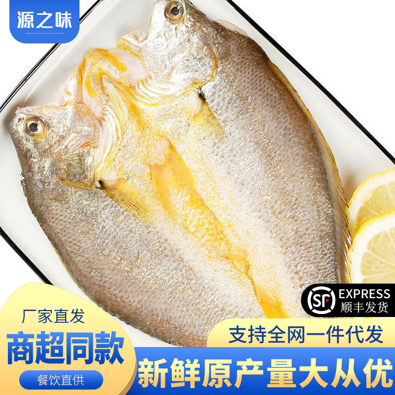 Fresh Frozen Yellow Croaker, Large Yellow Croaker, Yellow Flower Fish, Three-Way Cleaned Fresh Yellow Croaker, Sea Fish, Seafood, Commercial Use