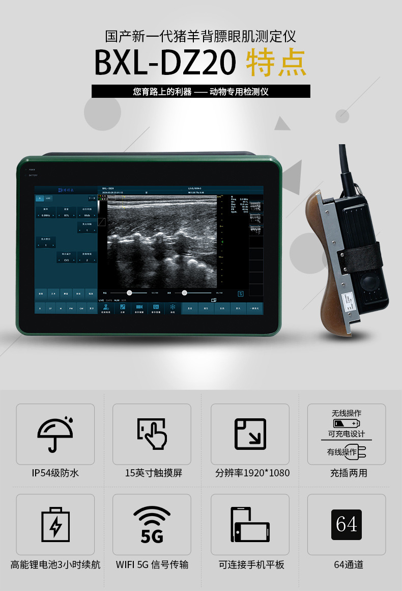猪羊用背膘眼肌测定仪肉质检测B超机
