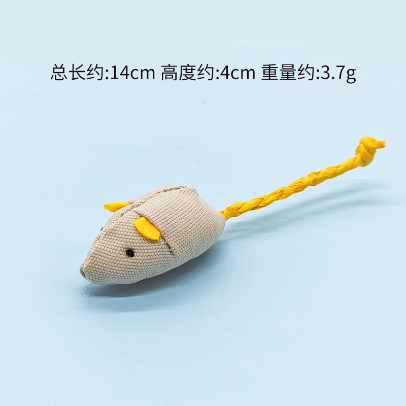 캔버스 베이지