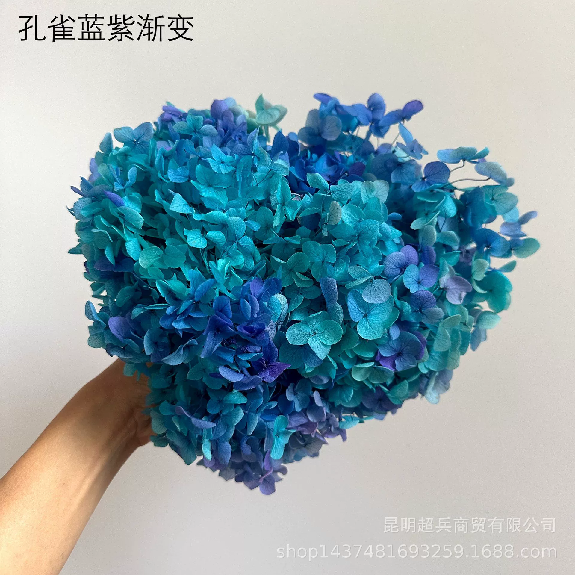 [Вечная Life Flower Hydrangea] Анна Градиентный цвет Лист Hydramid Книга цветов оптом DIY цветочная коробка материал для просмотра