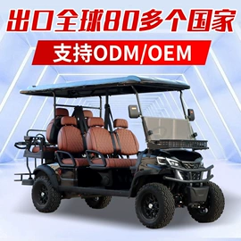 电动观光车;高尔夫球车;其他电动车