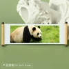Panda 210
